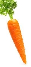 384+ Thousand Carrot Isolated Royalty-Free Images, Stock Photos & Pictures  | Shutterstock